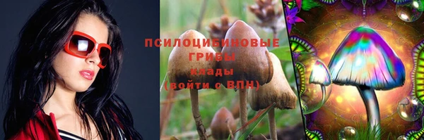 ешки Абаза