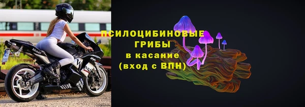 прущие крисы Абинск