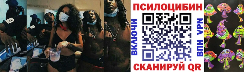 Псилоцибиновые грибы прущие грибы  Берёзовка 
